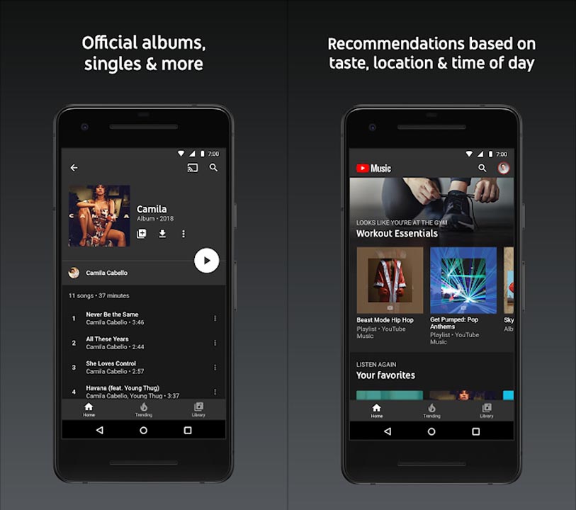 Download the YouTube Music MOD APK